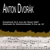 Serenade for Strings: In E-Dur, Op. 22: III. Scherzo artwork