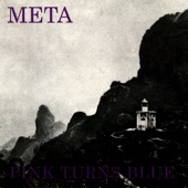 Pink Turns Blue - The First