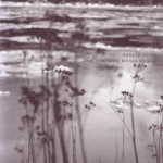 The lepers companion