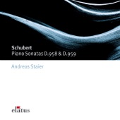 Schubert: Piano Sonatas Nos. 19 & 20 artwork