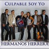 Culpable Soy Yo - Single