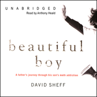 David Sheff - Beautiful Boy: A Father's Journey through His Son's Meth Addiction (Unabridged) artwork