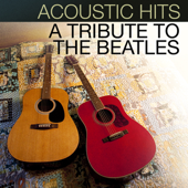 Acoustic Hits - A Tribute to the Beatles - Lacey & Sara