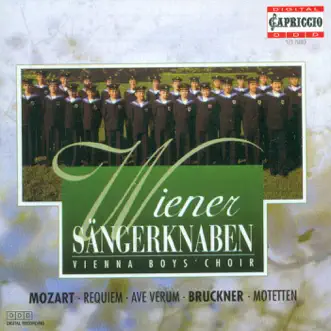 Ave Verum Corpus, K. 618 by Wiener Sängerknaben, Chorus Viennensis, Peter Marschik & Wiener Volksoper Orchestra song reviws