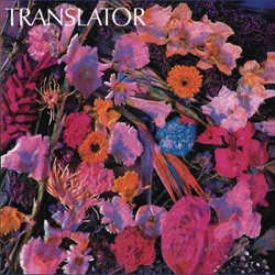 Translator - Another American Night