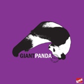 Giant Panda - With It