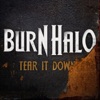 Tear It Down - Single