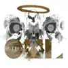 Owl album lyrics, reviews, download