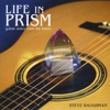 Life in Prism: Guitar Notes From the Inside