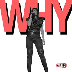 Why (feat. Maya) - Single - Offer Nissim