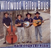 Wildwood Valley Boys - Heartbreakin' Devil