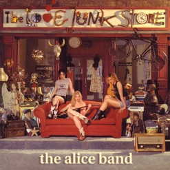 THE LOVE JUNK STORE cover art