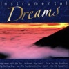 Instrumental Dreams