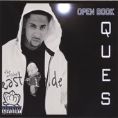 Ques-tions artwork