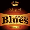 Elmore James - Dust My Broom