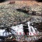 Lapac Smrti - PROTEST lyrics