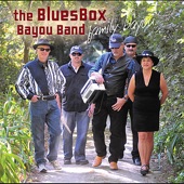 The BluesBox Bayou Band - Times We're Living In