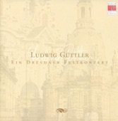 Telemann: Concerto in D Major, TWV 53:D. 5 - Vivaldi: Concerto for Viola D'amore and Lute artwork