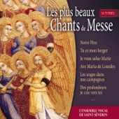 Les plus beaux chants de messe artwork