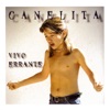 Vivo Errante
