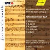 Concerto Grosso In F Minor, Op. 1, No. 8, "Christmas": VII. Pastorale - Largo Andante artwork