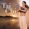 Tai Chi - A Day At The Spa lyrics