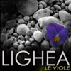Le viole - Single
