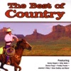 The Best of Country (Re-Recorded Versions)