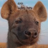 Laughing Hyena (Limited edition)