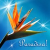 Paradisa!