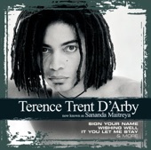 Collections: Terence Trent D'Arby artwork