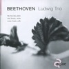 Ludwig Trio - Trio for piano, violin and cello in B-Flat Major, Op. 97 - "Archduke": II. Scherzo. Allegro