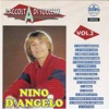Raccolta di successi, vol. 2 (The Best of Nino D'Angelo Collection)