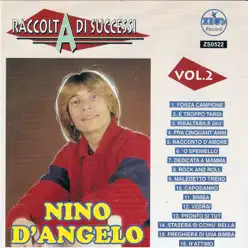 Raccolta di successi, vol. 2 (The Best of Nino D'Angelo Collection) - Nino D'Angelo