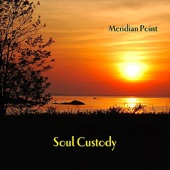 Soul Custody artwork