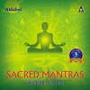 Sacred Mantras Salutation To the God, Vol. 3 - Various Artists