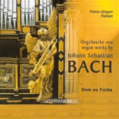Toccata con Fuga In D-Moll, BWV 565, Toccata artwork