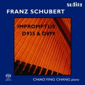Four Impromptus D 899, Op. 90: No. 1 In C Minor, Allegro Molto Moderato artwork