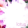 Lotus (Singles, 2001-2006)