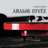 Csángó Boogie Remix artwork