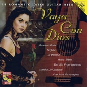 Vaya Con Dios artwork