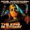 The King Is Comin' - Spirit of Wooodstock Festival In Mirapuri, Italy, Pt. 2, 2004