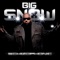 Avalanche (feat. Shonlock) - Big Snow lyrics