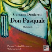 Donizetti: Don Pasquale (Opera Highlights) artwork