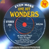 Even More One Hit Wonders (Rerecorded Version) artwork