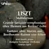 Liszt, F.: Malediction - Grande Fantaisie Symphonique On Themes From Berlioz's Lelio - Fantasie On Motive From Beethoven's Ruinen Von Athen album cover