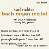 J.S. Bach - Toccata and Fugue in D Minor, BWV. 565 artwork