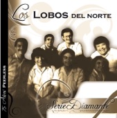 Los Lobos del Norte - Como Burro Sin Mecate