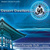 DownTemple Dub: Waves artwork