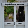 Psychological Backlash - Terra Non-Firma, Future Past